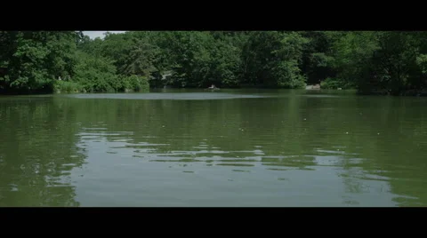 Canoeing on lake Vidéo 56967049