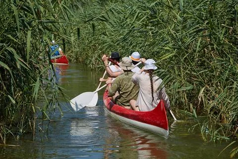 Canoeing on a lake Stock Photos