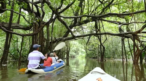 Canoeing in Little amazon Stock Footage 58197904