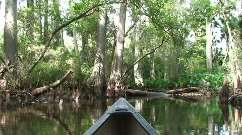 Canoeing P.O.V. Stock Footage 534968