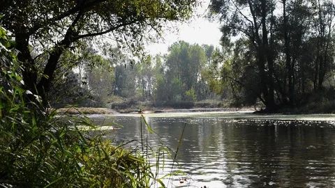 Canoeing on the river in the autumn Stock Footage 100111639