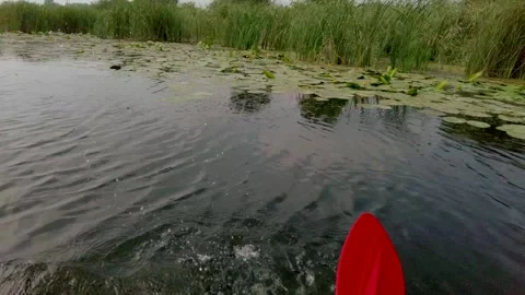 Canoeing on river concept Stock Footage 218349843