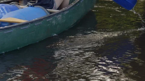 Canoeing on a river Stock Footage 97702072