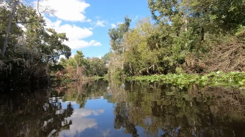 Canoeing on small river Stock Footage 118395083