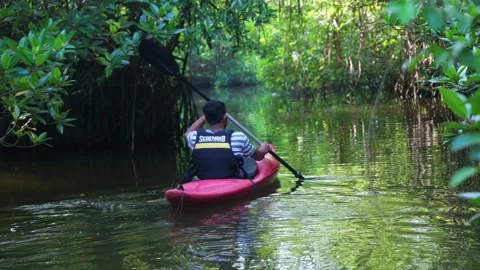 Canoeing in Sri Lanka Video stock 174669810
