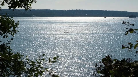 Canoeists in harbor at sunset. Sunlight reflections on glittering ocean surface Stock Footage 252101547