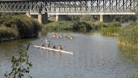 Canoeists training in the Douro River Stock Footage 77304776