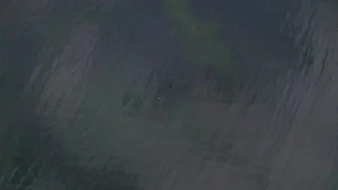 Canoes Stock Footage 220791769