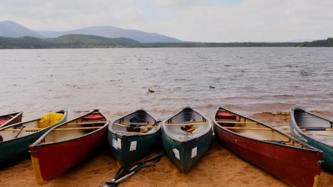 Canoes on the shore Stock Footage 97511157