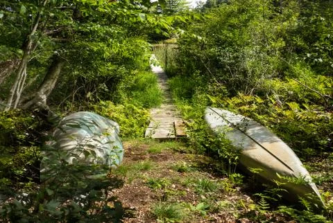 Canoes stored in the woods Stock Photos
