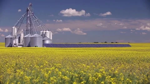 Canola Grain Silo Solar Panel Stock Footage