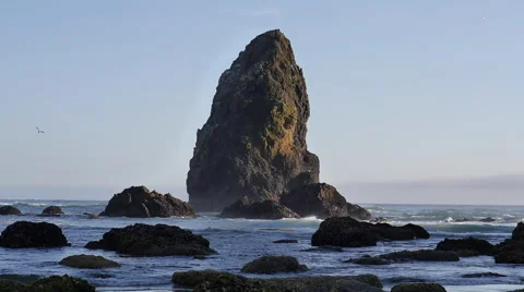 Canon Beach with seagulls Stock Footage 56001506