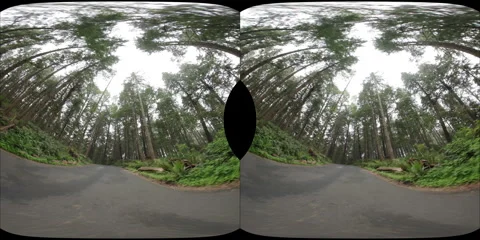 Canon Beach Trail Oregon VR 180 Stereoscopic Stock Footage 294861933