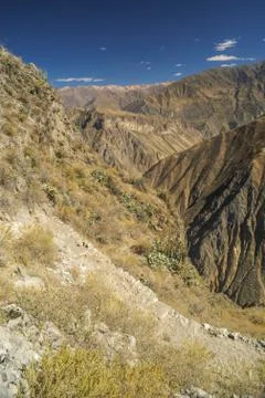 Canon del colca Stock Photos