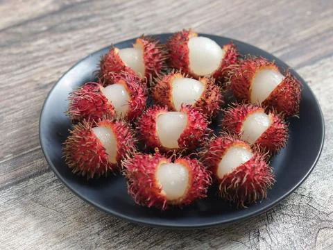 Canon6D Stock Photos