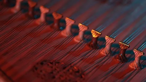 Canoon close-up with cinematic light  34 Stock Footage 311321476