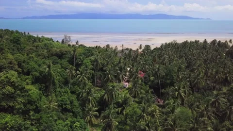 Canopy from above close to sand beach Stock Footage 132825218
