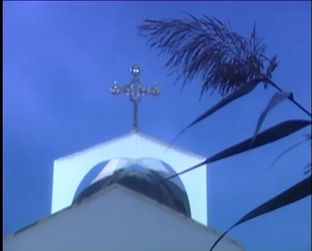 Canopy and cane Stock Footage 998845