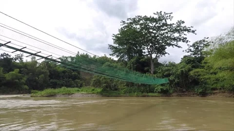 Canopy bridge across the river, view from the river bank, Borneo, Malaysia Stock Footage 143623572