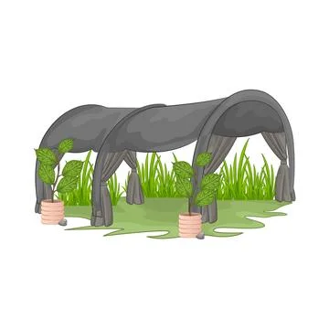 Canopy Illustration Stock Illustration