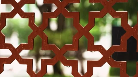 Canopy of leaves with falling rain Stock-Footage 320588906