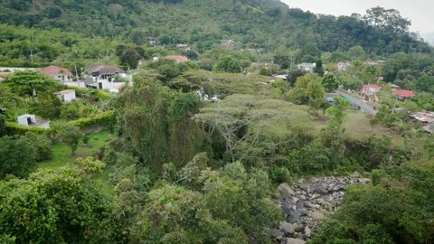 Canopy-Level Survey of Boulder-Strewn Creek Bisecting Rural Neighborhood Video stock 316798745