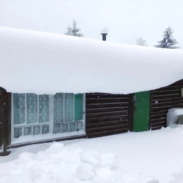 Canopy of snow. Stock Photos