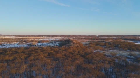Canopy of trees light up by sunset warm light during winter in a valley 動画素材 331751378