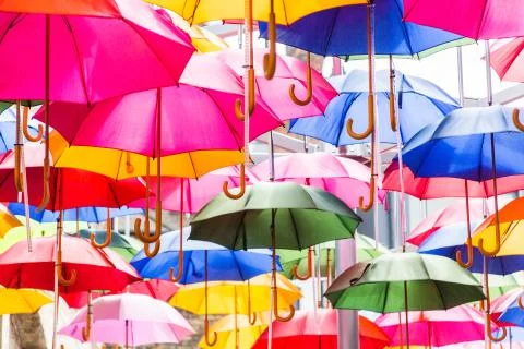 A Canopy of Umbrellas Stock Photos