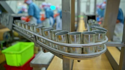 Cans for packaging sardines are being transported into the canning process Video stock 339009391