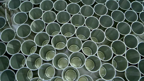 Cans for packaging sardines are being transported into the canning process Stock Footage 339010476