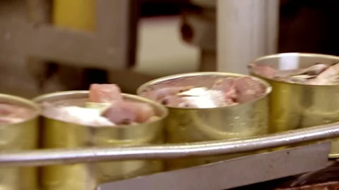 Cans rake from the conveyor belt into a box Stock Footage 102060330