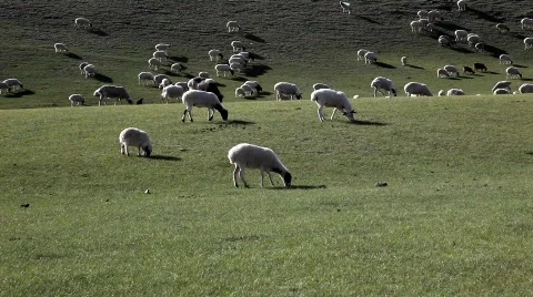 Can't sleep?  Видео 517074