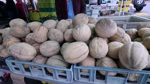 CANTALOPE Video stock 102750927