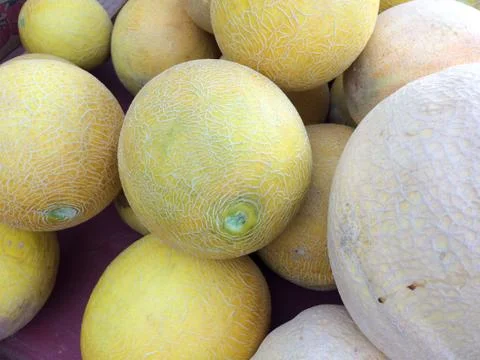 Cantaloupe on display Stock Photos