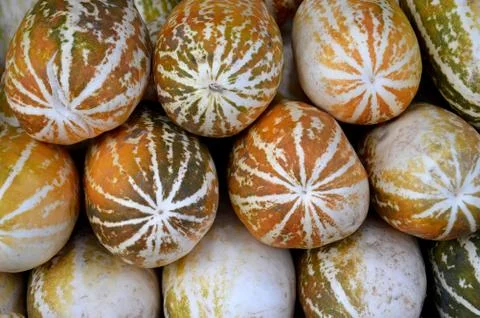 Cantaloupe fruit Fotos Stock