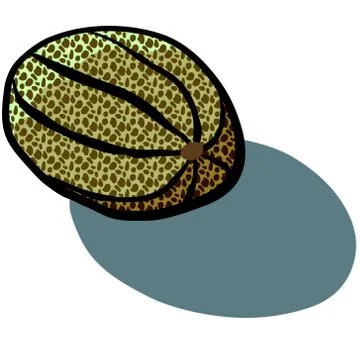 Cantaloupe Illustrazione stock