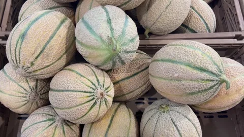 Cantaloupe melon in crates Stock Footage 312342360