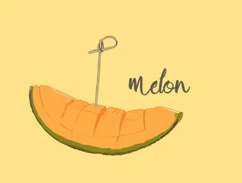 Cantaloupe melon, fruit vector illustration Stock Illustration