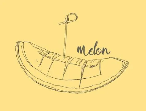 Cantaloupe melon, fruit vector illustration Stock Illustration