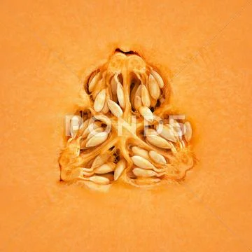 Cantaloupe melon inside Stock Photos