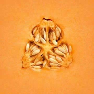 Cantaloupe melon inside Stock Photos