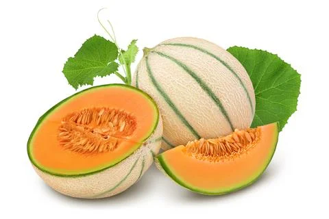 Cantaloupe melon isolated on white background with full depth of field, Stock Photos