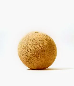 Cantaloupe melon Stock Photos