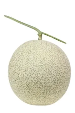Cantaloupe melon Stock Photos
