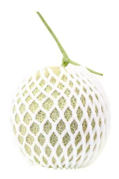 Cantaloupe melon Stock Photos