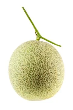 Cantaloupe melon Stock Photos