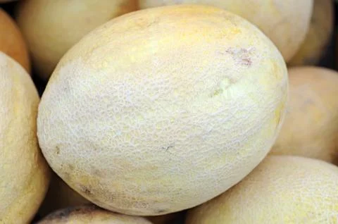 Cantaloupe melon Stock Photos