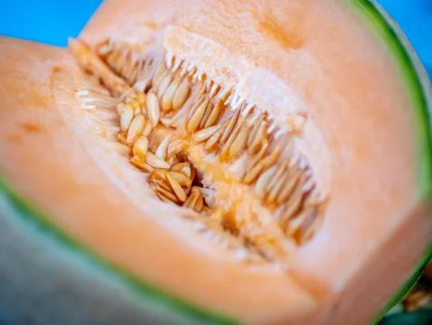 Cantaloupe Melon Stock Photos