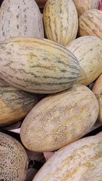 Cantaloupe melon Stock Photos